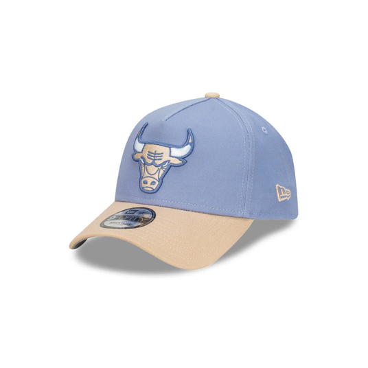 NEW ERA Chicago Bulls Two-Tone 9Forty Snapback - Buy Online in Nepal