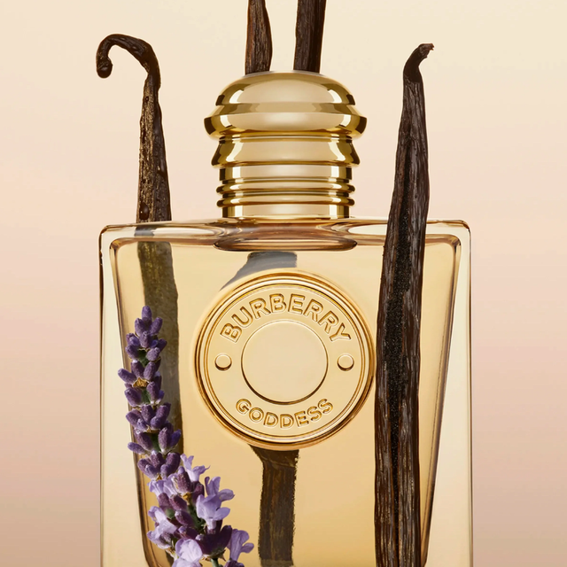 Buy Burberry Goddess Online in Nepal - Online Shopping Nepal - Online Clothing Shop Nepal