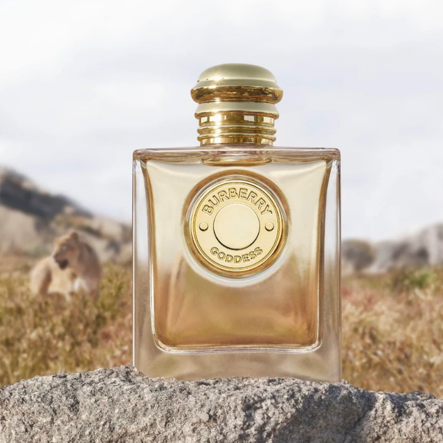 Buy Burberry Goddess Online in Nepal - Online Shopping Nepal - Online Clothing Shop Nepal