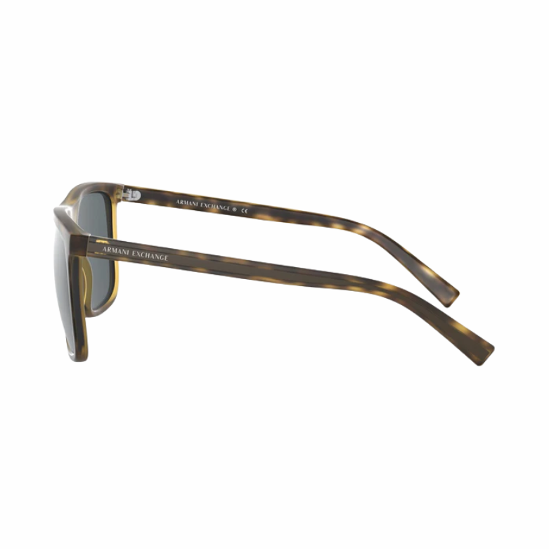 ARMANI EXCHANGE AX4102S SUNGLASSES