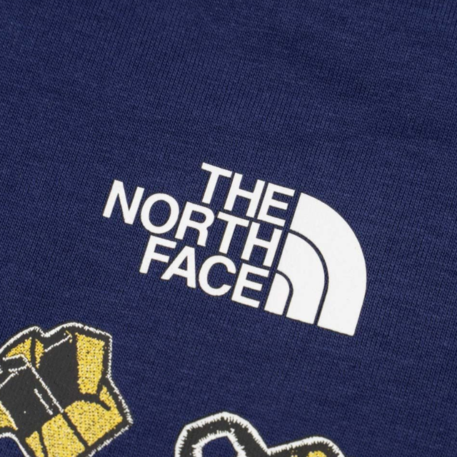 Buy THE NORTH FACE UNISEX ICON PATCH RELAXED SS TEE Online in Nepal - Online Shopping Nepal - Online Clothing Shop Nepal