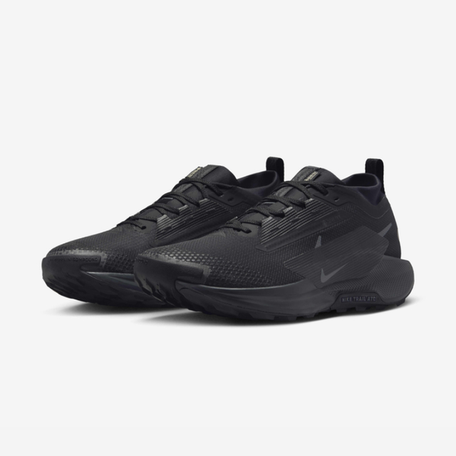 Buy Nike Pegasus Trail 5 GORE-TEX M Online in Nepal - Online Shopping Nepal - Online Clothing Shop Nepal