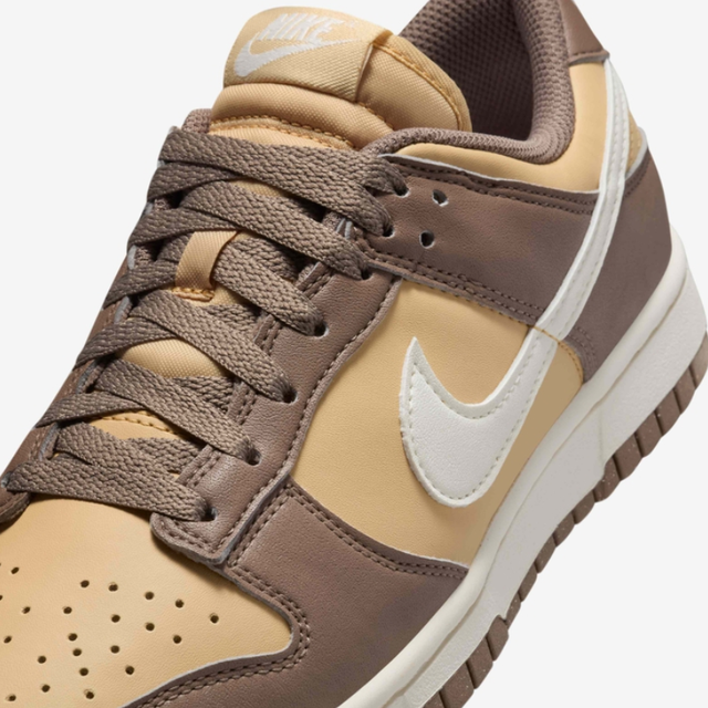 Buy Nike Dunk Low Next Nature W Shoes Online in Nepal - Online Shopping Nepal - Online Clothing Shop Nepal