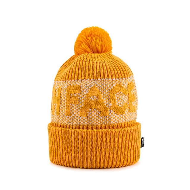 Buy THE NORTH FACE RETRO CABIN BEANIE Online in Nepal - Online Shopping Nepal - Online Clothing Shop Nepal