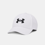 Under Armour Blitzing Low Men's Stretch Fit Cap