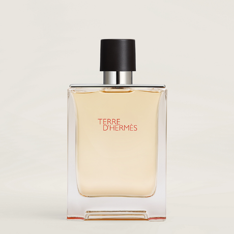 Buy Hermes Terre D'Herme EDT Online in Nepal - Online Shopping Nepal - Online Clothing Shop Nepal