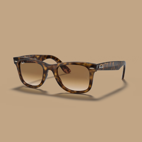 Buy Ray-Ban Wayfarer Ease sunglasse Online in Nepal - Online Shopping Nepal - Online Clothing Shop Nepal