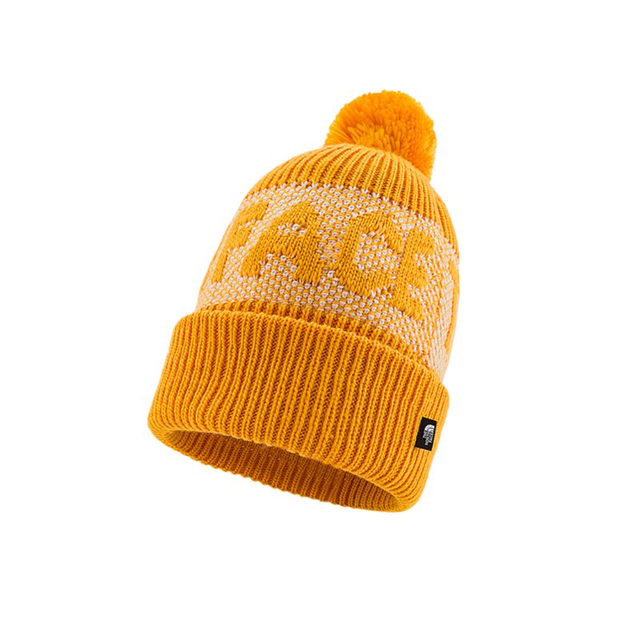Buy THE NORTH FACE RETRO CABIN BEANIE Online in Nepal - Online Shopping Nepal - Online Clothing Shop Nepal