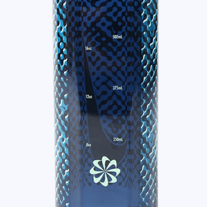 Buy Nike Renew Recharge Chag Bottle Online in Nepal - Online Shopping Nepal - Online Clothing Shop Nepal