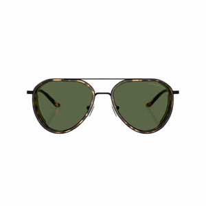 Emporio Armani EA 2163 Sunglasses