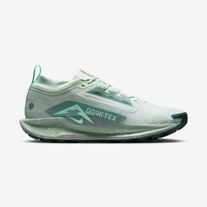 Buy Nike Pegasus Trail 5 GORE-TEX Online in Nepal - Online Shopping Nepal - Online Clothing Shop Nepal