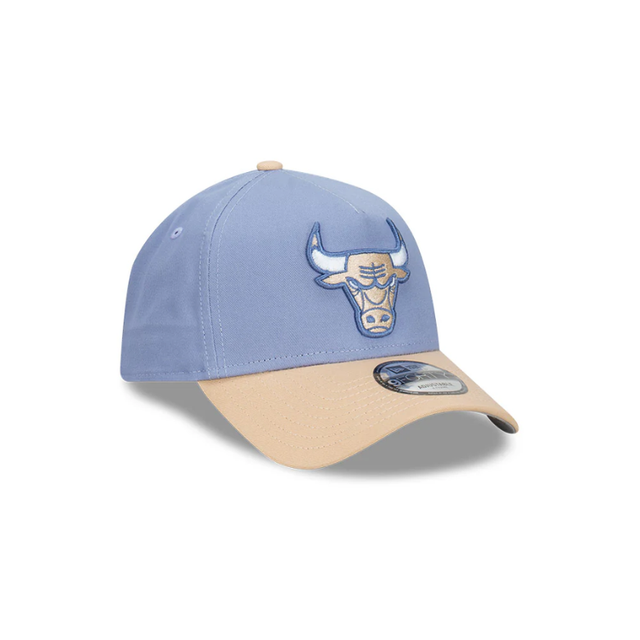 Buy NEW ERA Chicago Bulls Two-Tone 9Forty Snapback Online in Nepal - Online Shopping Nepal - Online Clothing Shop Nepal