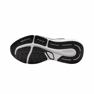 Nike Winflo 12 Men's Road Running Shoes