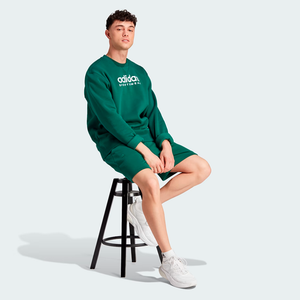 Adidas All Season Fleece Graphic Sweatshirt