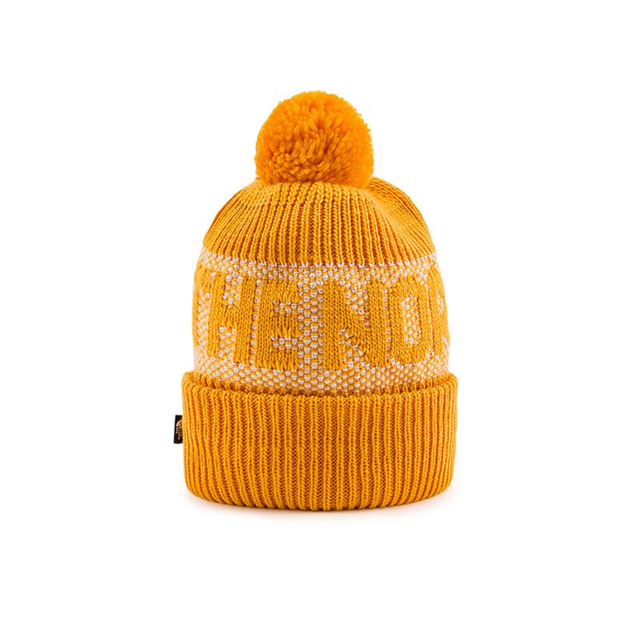 Buy THE NORTH FACE RETRO CABIN BEANIE Online in Nepal - Online Shopping Nepal - Online Clothing Shop Nepal