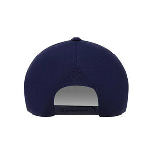 Reebok Vector Baseball Cap - Aadima Nepal -online shopping Nepal - Fashion -Buy Clothing Online  in Nepal
