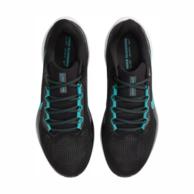 Buy Nike Pegasus 41 Online in Nepal - Online Shopping Nepal - Online Clothing Shop Nepal