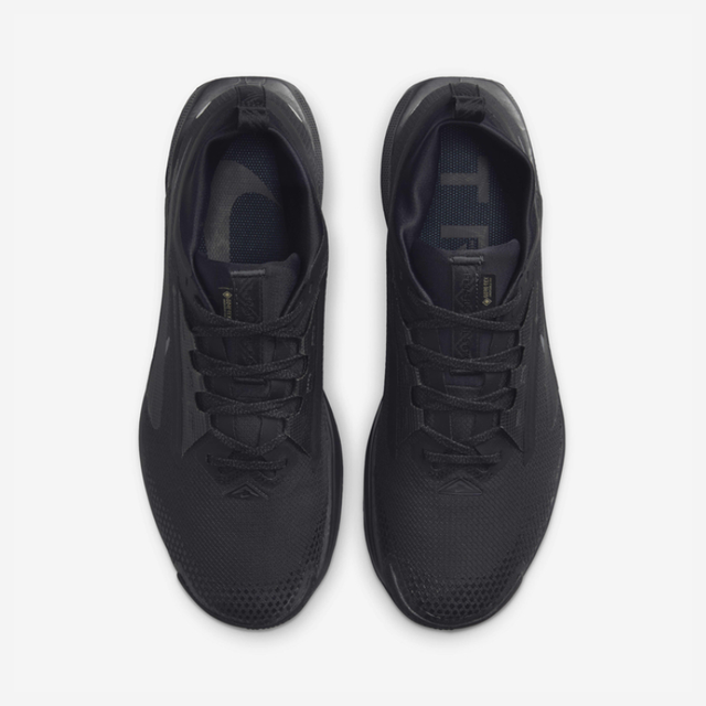 Buy Nike Pegasus Trail 5 GORE-TEX M Online in Nepal - Online Shopping Nepal - Online Clothing Shop Nepal