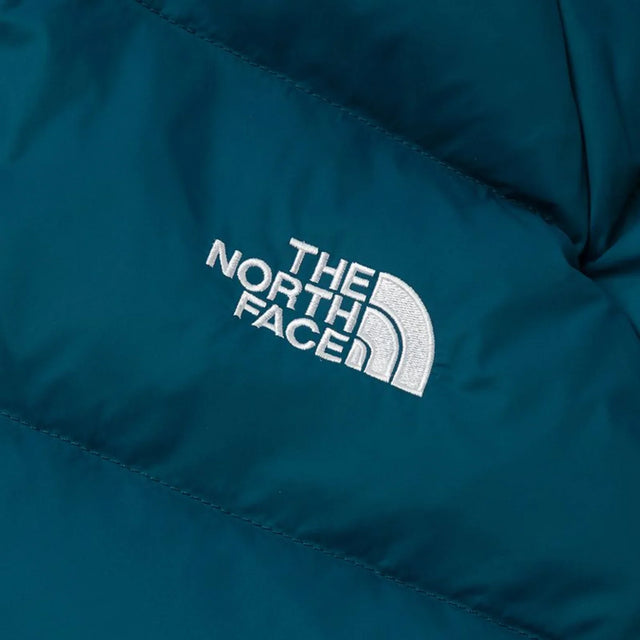 THE NORTH FACE M HYDRENALITE DOWN HOODIE - Aadima Nepal -online shopping Nepal - Fashion -Buy Clothing Online  in Nepal