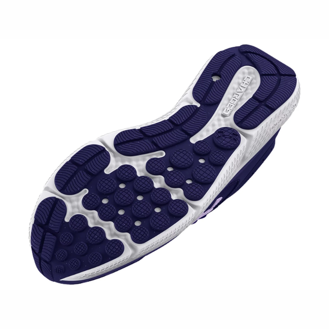 Buy Under Armour Charged Assert 10 Online in Nepal - Online Shopping Nepal - Online Clothing Shop Nepal