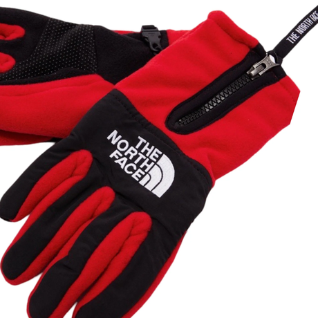 Buy THE NORTH FACE Denali Etip Glove Online in Nepal - Online Shopping Nepal - Online Clothing Shop Nepal