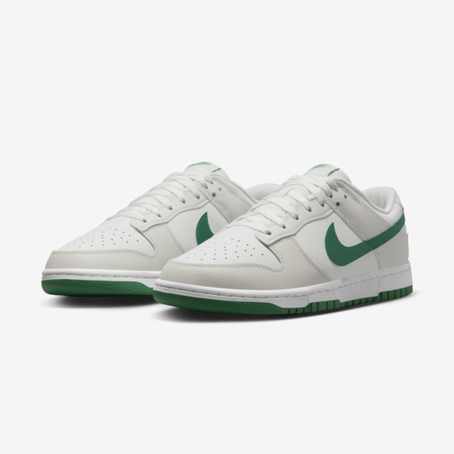 Nike Dunk Low Retro M Shoes